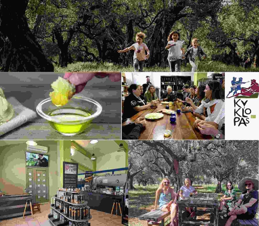 kyklopas olive oil tours (1).jpg